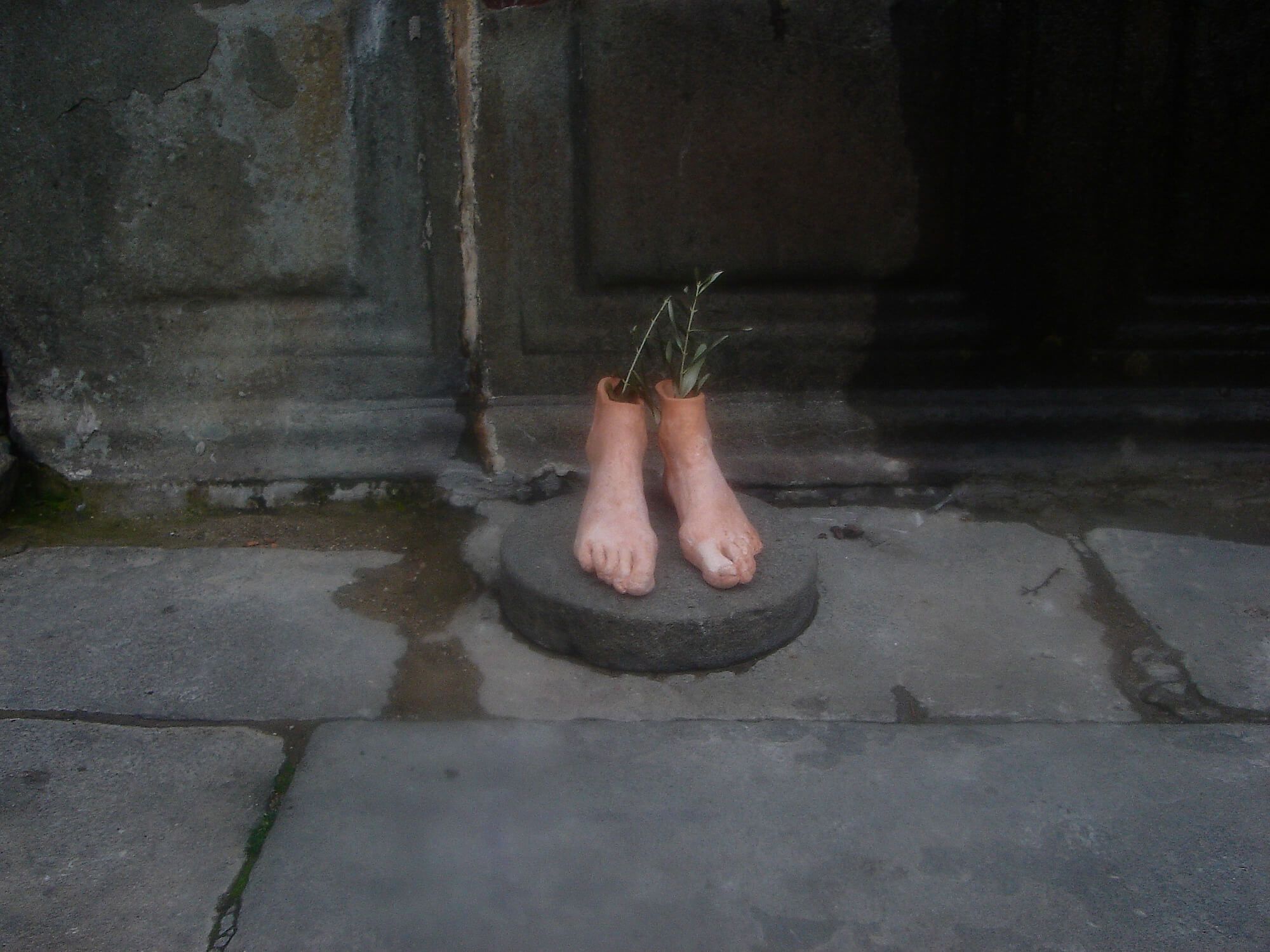 Le radici di un paese