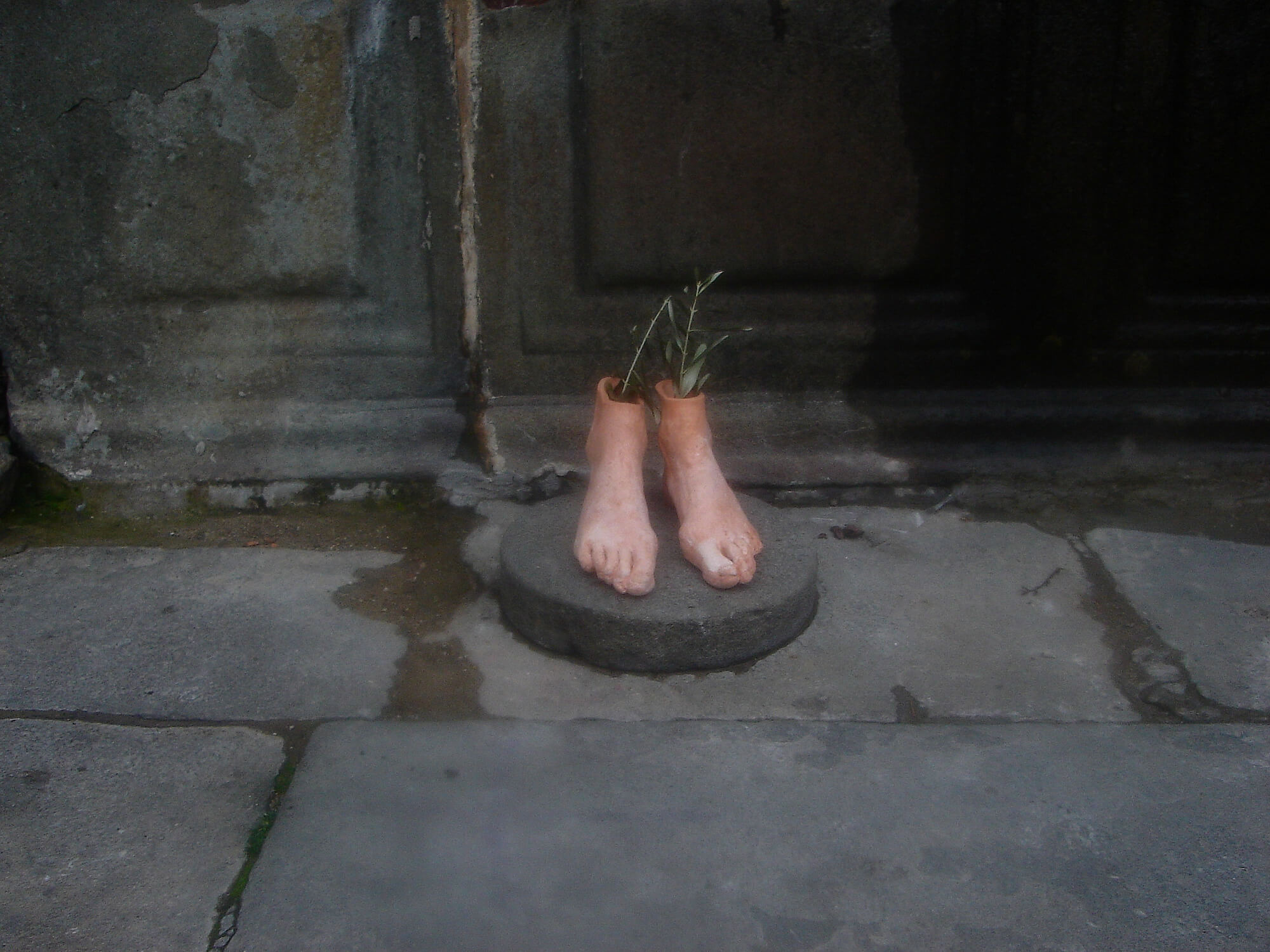 Le radici di un paese